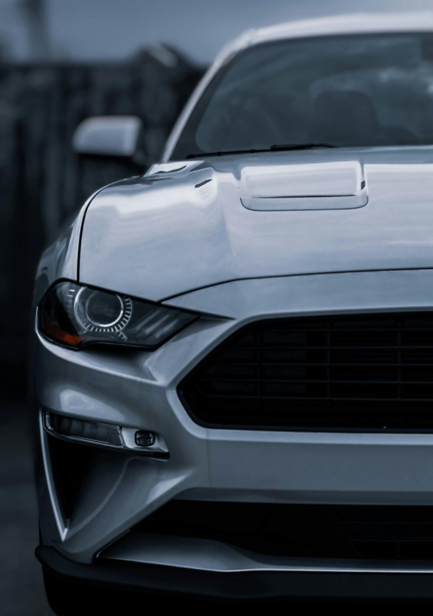 pexels photo 12906678 12906678