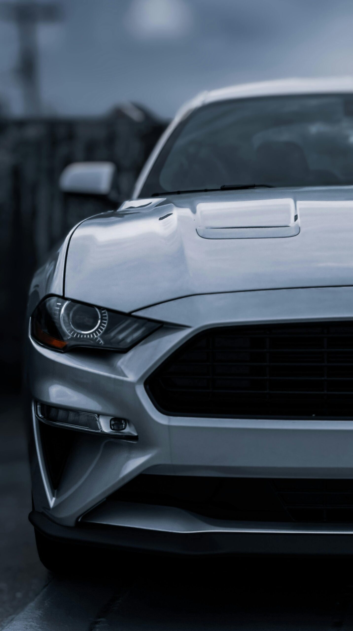 pexels photo 12906678 12906678